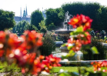 Vienna in Spring