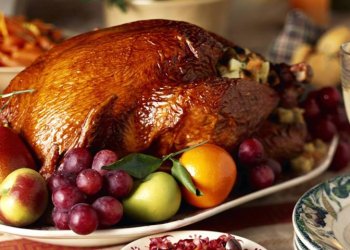 <br />
<b>Warning</b>:  Undefined property: stdClass::$content_image_alt in <b>/usr/share/php/assets/tpl/blog/list.php</b> on line <b>18</b><br />
Thanksgiving in Vienna