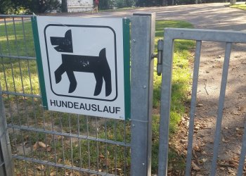 Best Parks in Vienna for your Dog